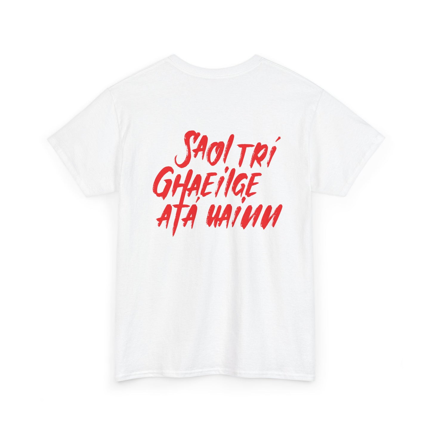 Unisex Heavy Cotton Tee - Saol